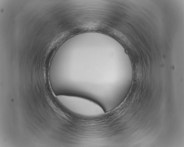 X0000073920494200608111008