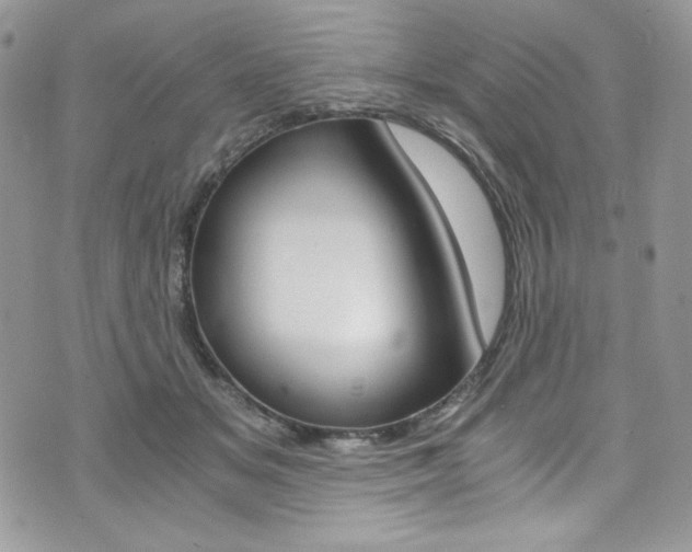X0000073920509200608111008