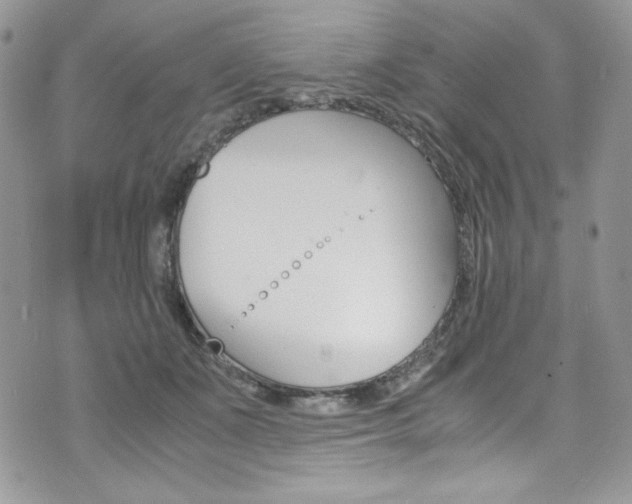 X0000073920511200608111008