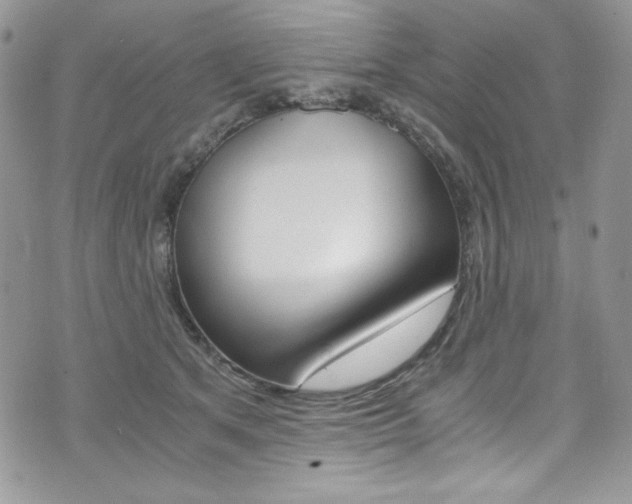 X0000073920513200608111008