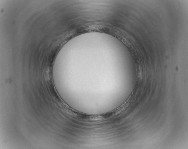 X0000073920514200608111008