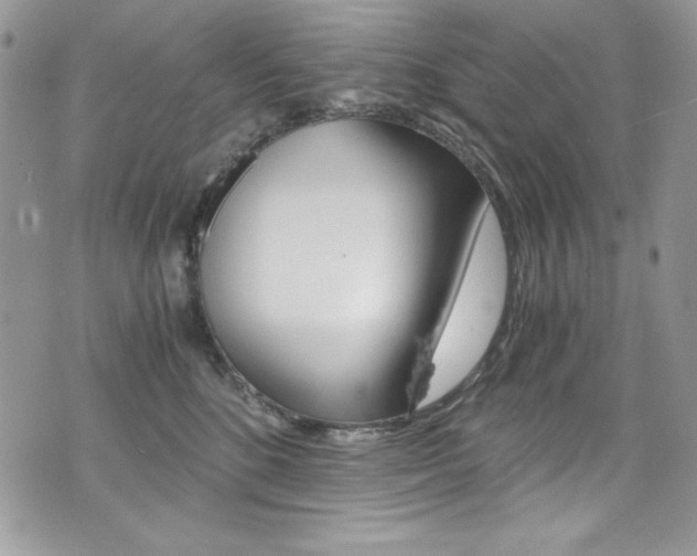 X0000073920520200608111008