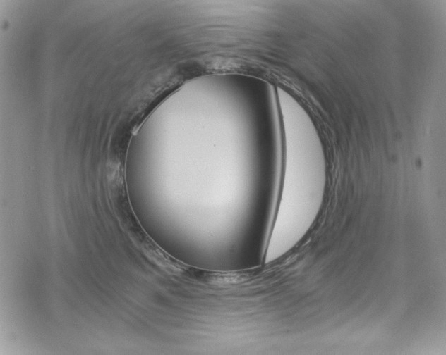X0000073920521200608111008