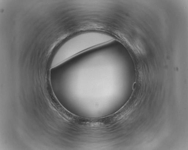 X0000073920539200608111007