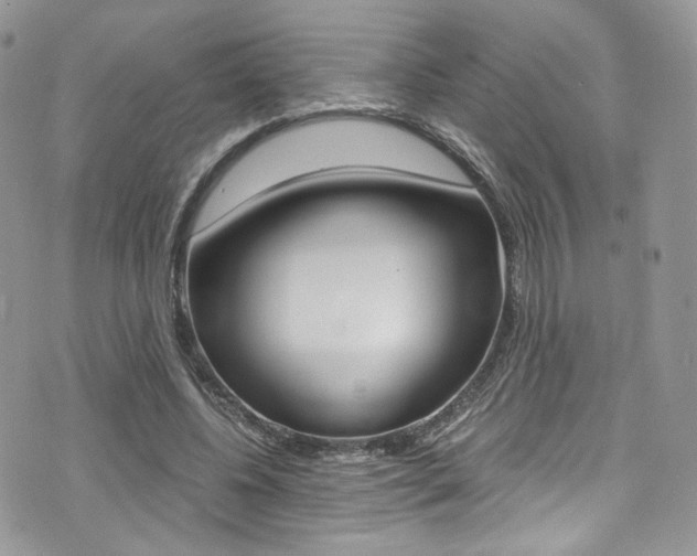 X0000073920540200608111007
