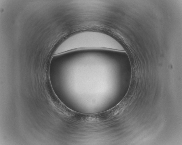 X0000073920546200608111007