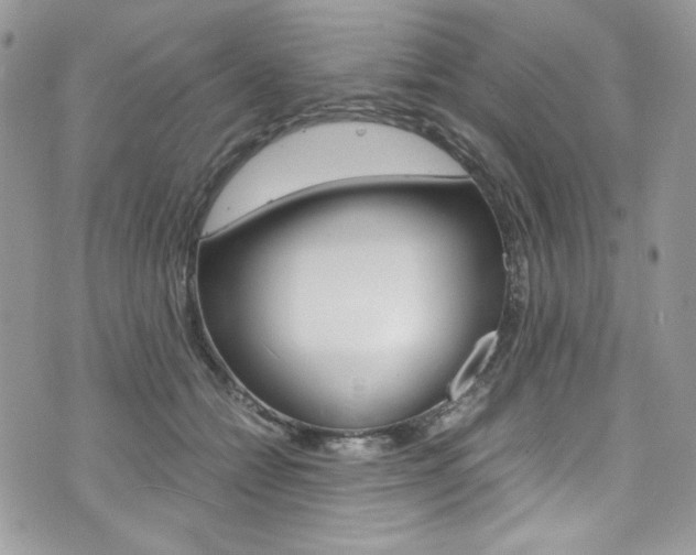 X0000073920558200608111008