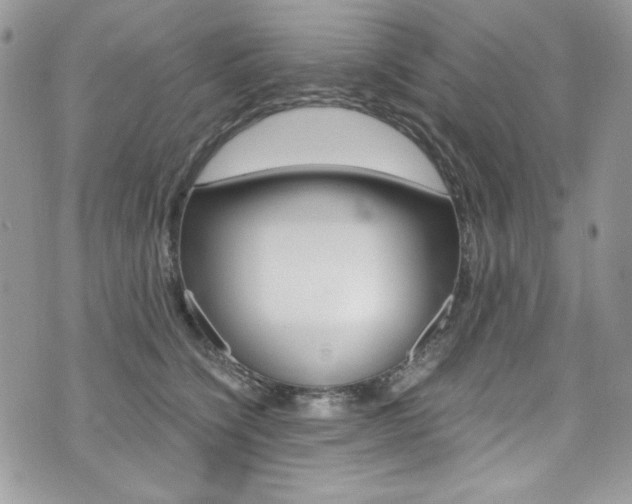 X0000073920564200608111008