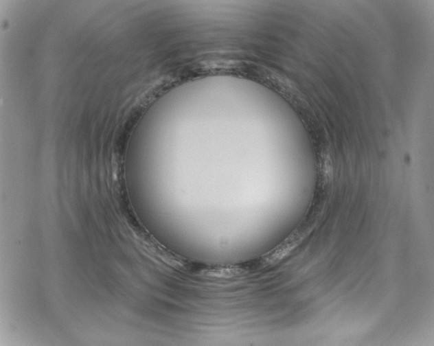 X0000073920567200608111008