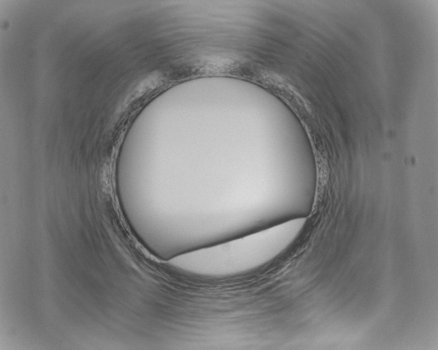 X0000073920591200608111007