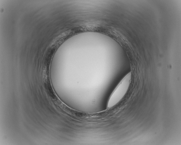 X0000073920599200608111007