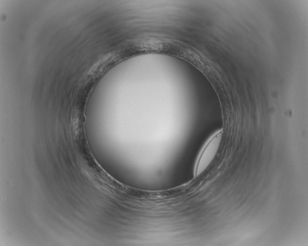 X0000073920600200608111007