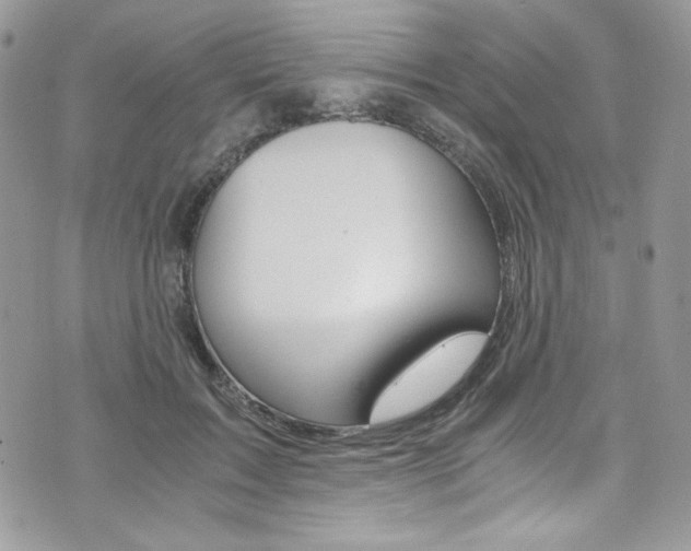 X0000073920603200608111007