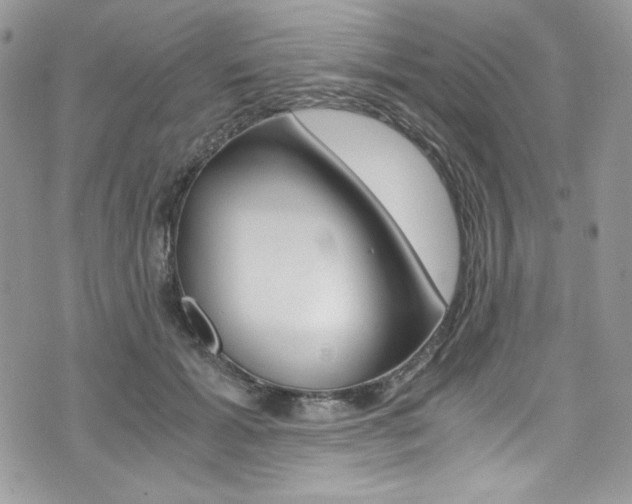 X0000073920605200608111007