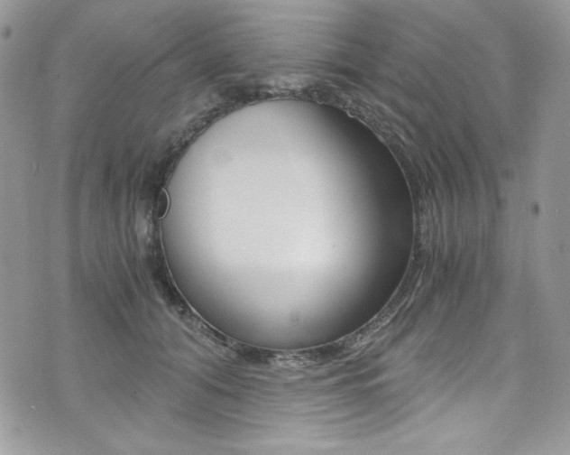 X0000073920608200608111007