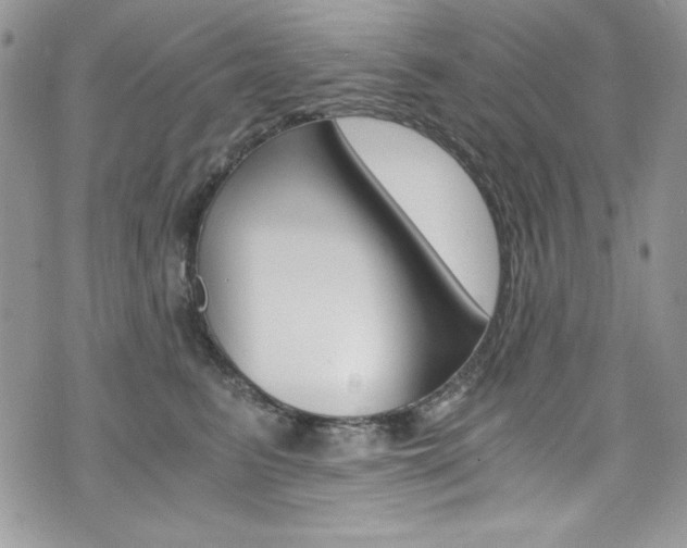 X0000073920615200608111006