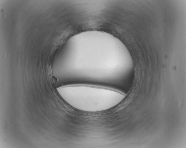 X0000073920624200608111006