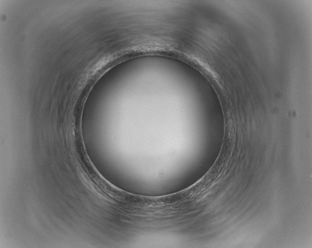 X0000073920631200608111006