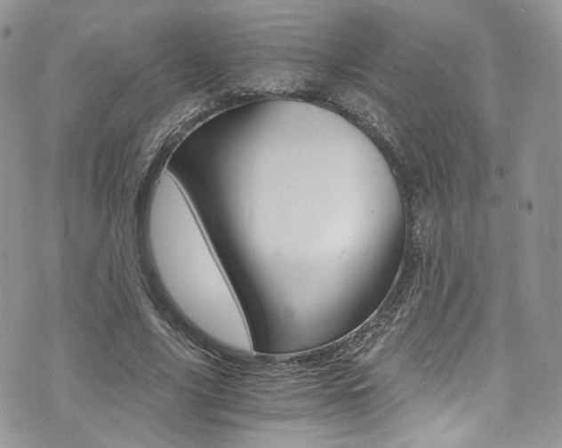 X0000073920635200608111006