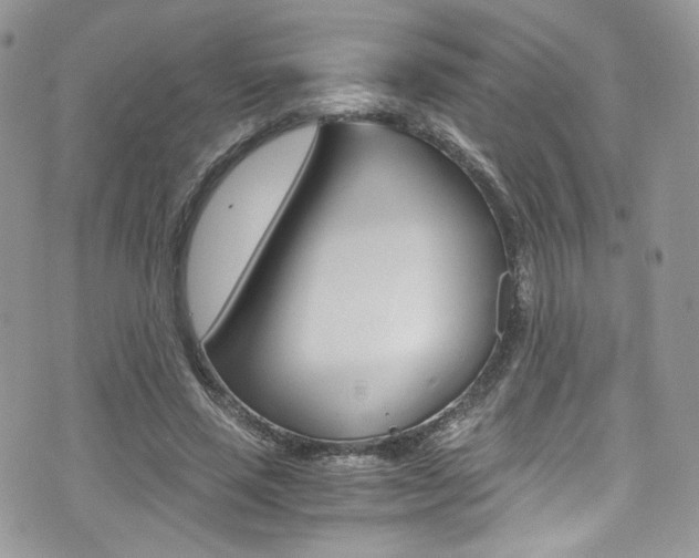X0000073920637200608111006