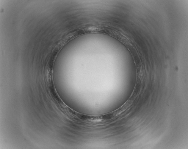 X0000073920651200608111006