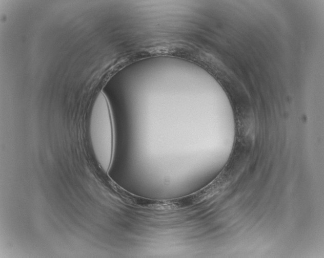 X0000073920652200608111006