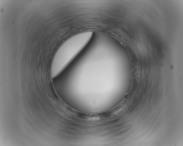X0000073920653200608111006