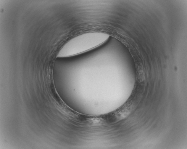 X0000073920654200608111006