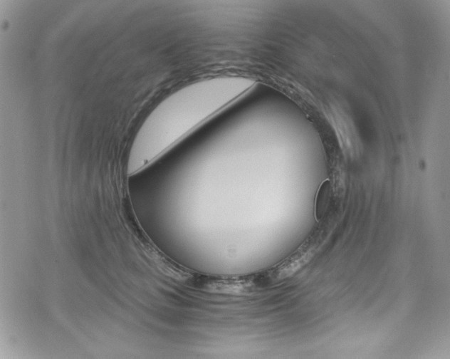 X0000073920661200608111006