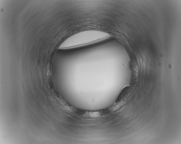 X0000073920665200608111006