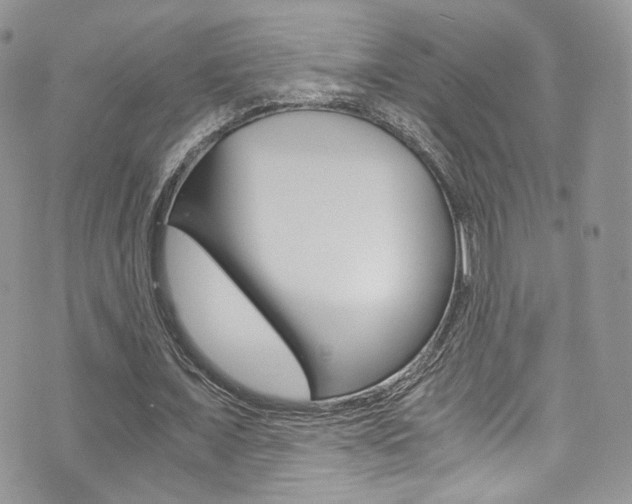 X0000073920675200608111006