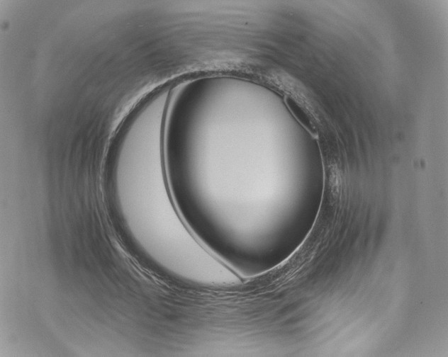 X0000073920676200608111006