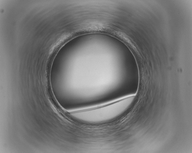X0000073920677200608111005