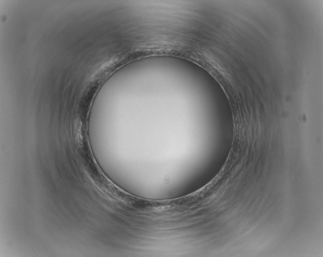 X0000073920692200608111005