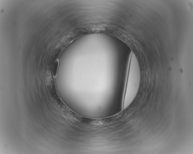 X0000073920704200608111005