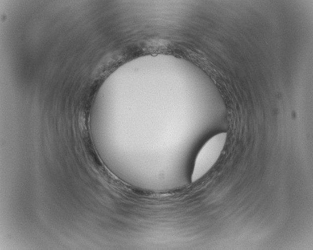 X0000073920711200608111005