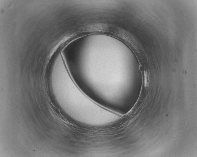 X0000073920723200608111004