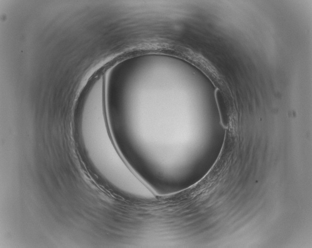 X0000073920724200608111004