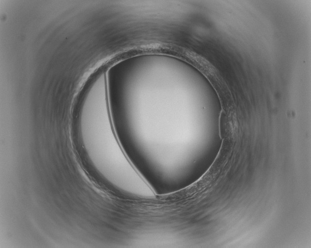 X0000073920728200608111004