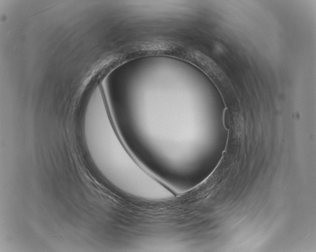 X0000073920731200608111004