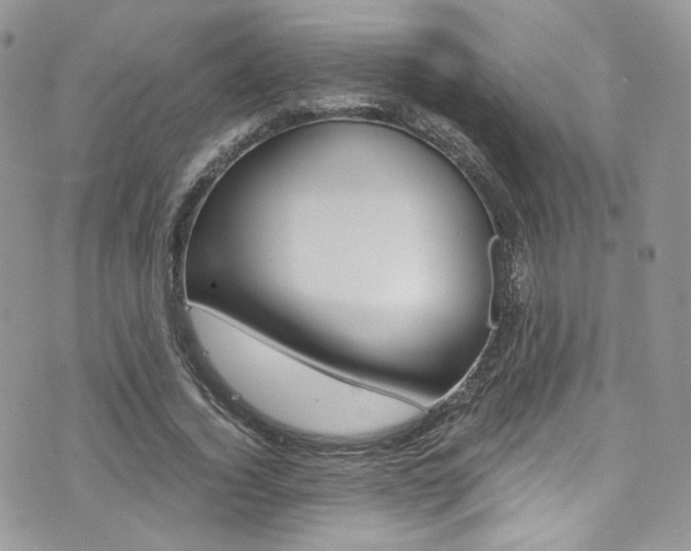 X0000073920732200608111004