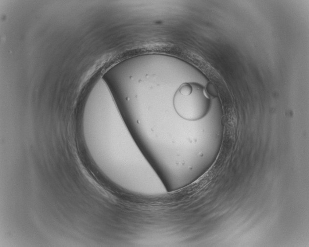 X0000073920734200608111004
