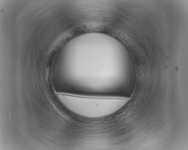 X0000073920742200608111004