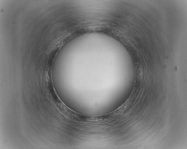 X0000073920746200608111004