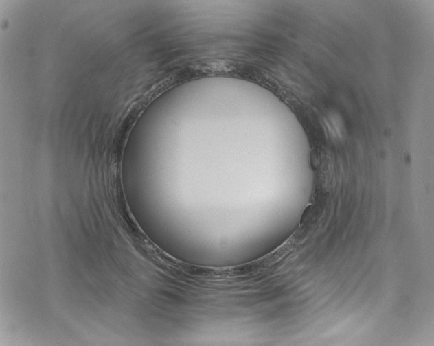 X0000073920747200608111004