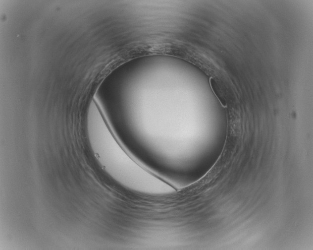 X0000073920748200608111004