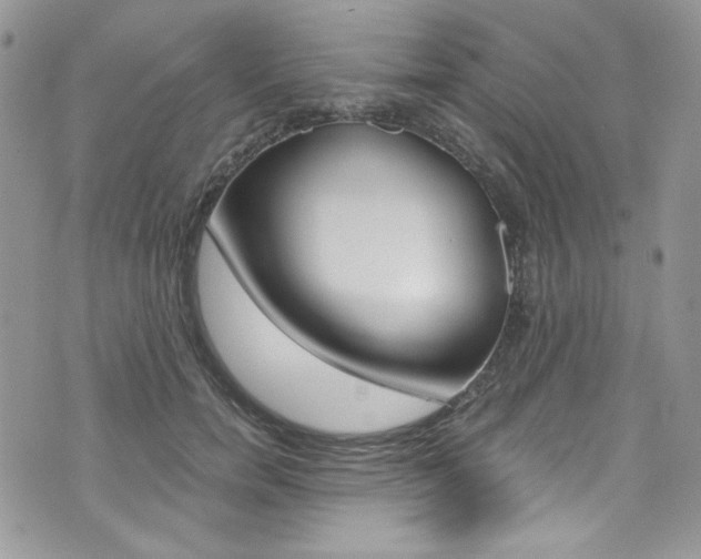 X0000073920750200608111004