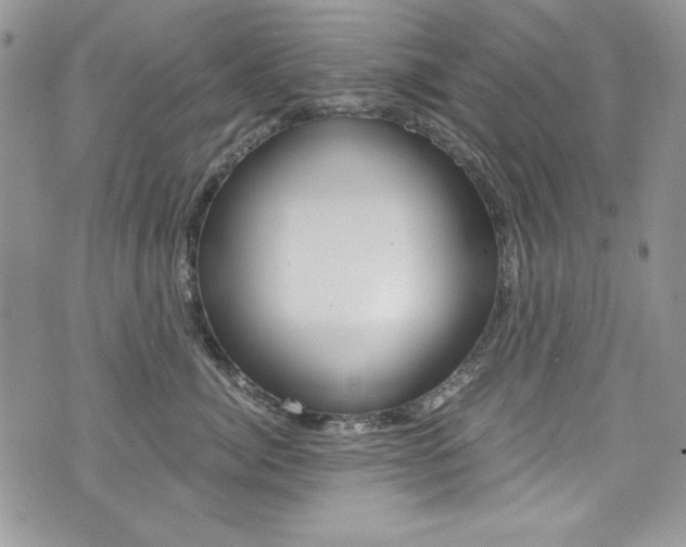 X0000073920764200608111005