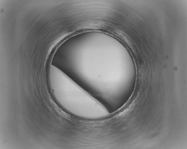 X0000073920779200608111004