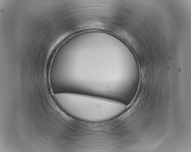 X0000073920780200608111004